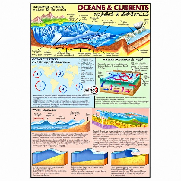 Ocean Currents Chart